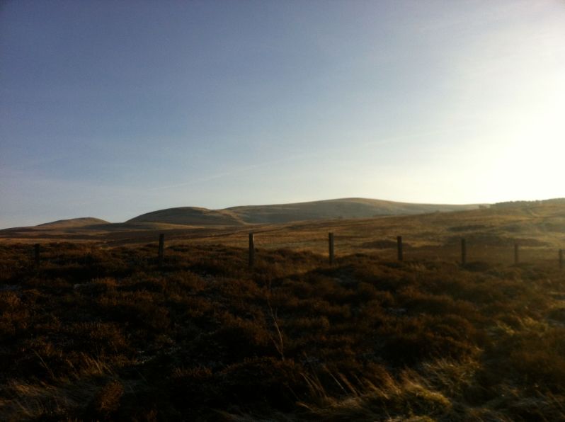pentland frosty