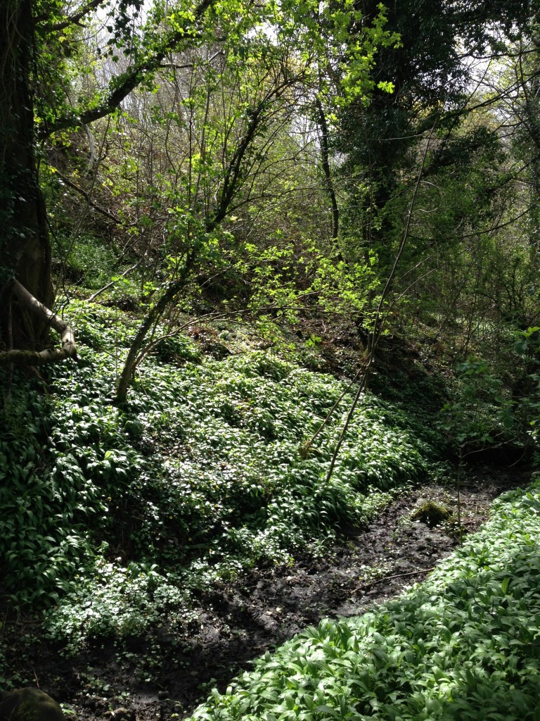 verdant Dell