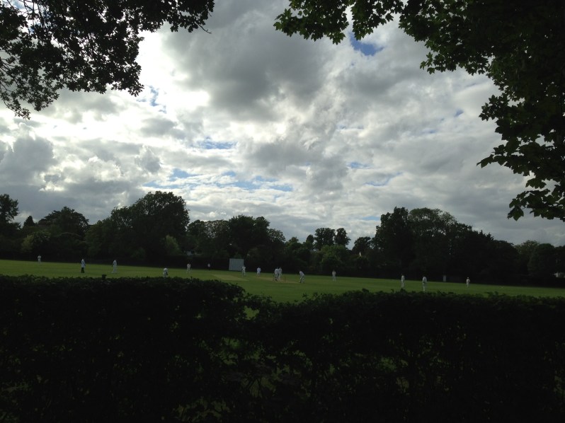 evening cricket match