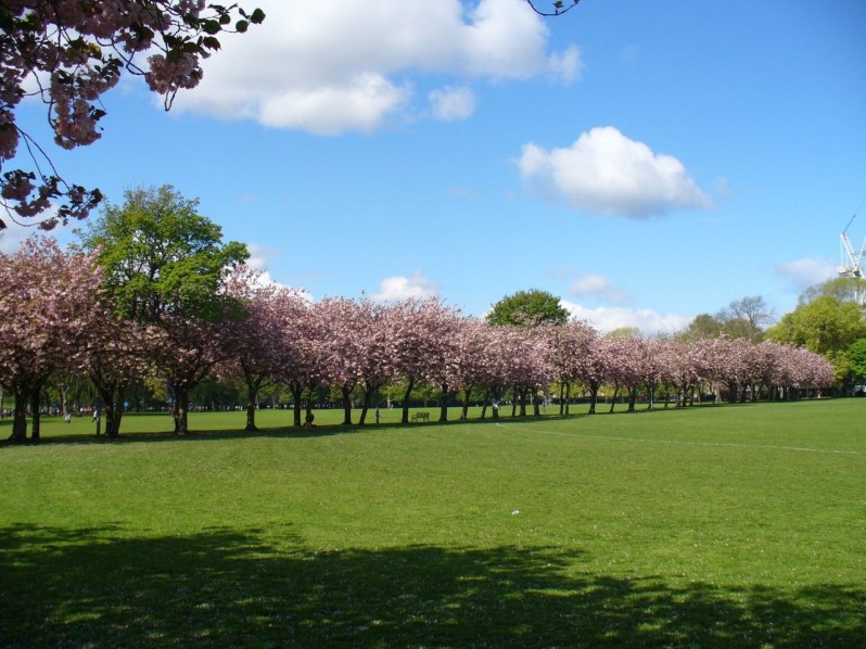 Edinburgh Meadows