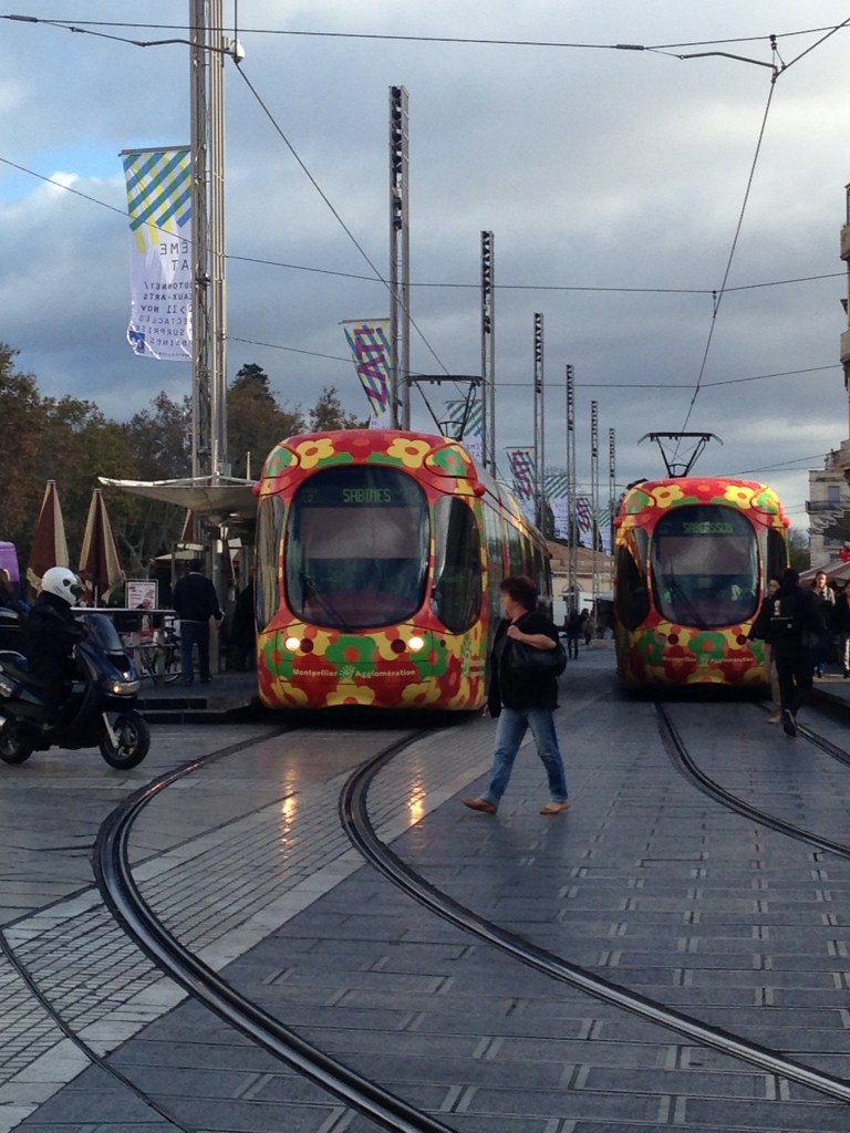 trams