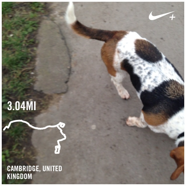 3 mile cambridge run