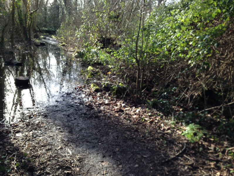 flooded path