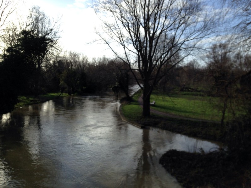 high river Cambridge
