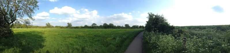 granchester meadows panorama