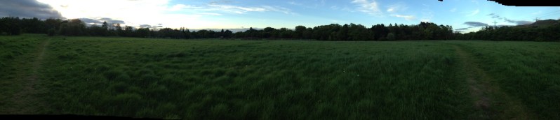 polo fields panorama