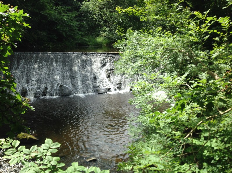 weir in sunlight