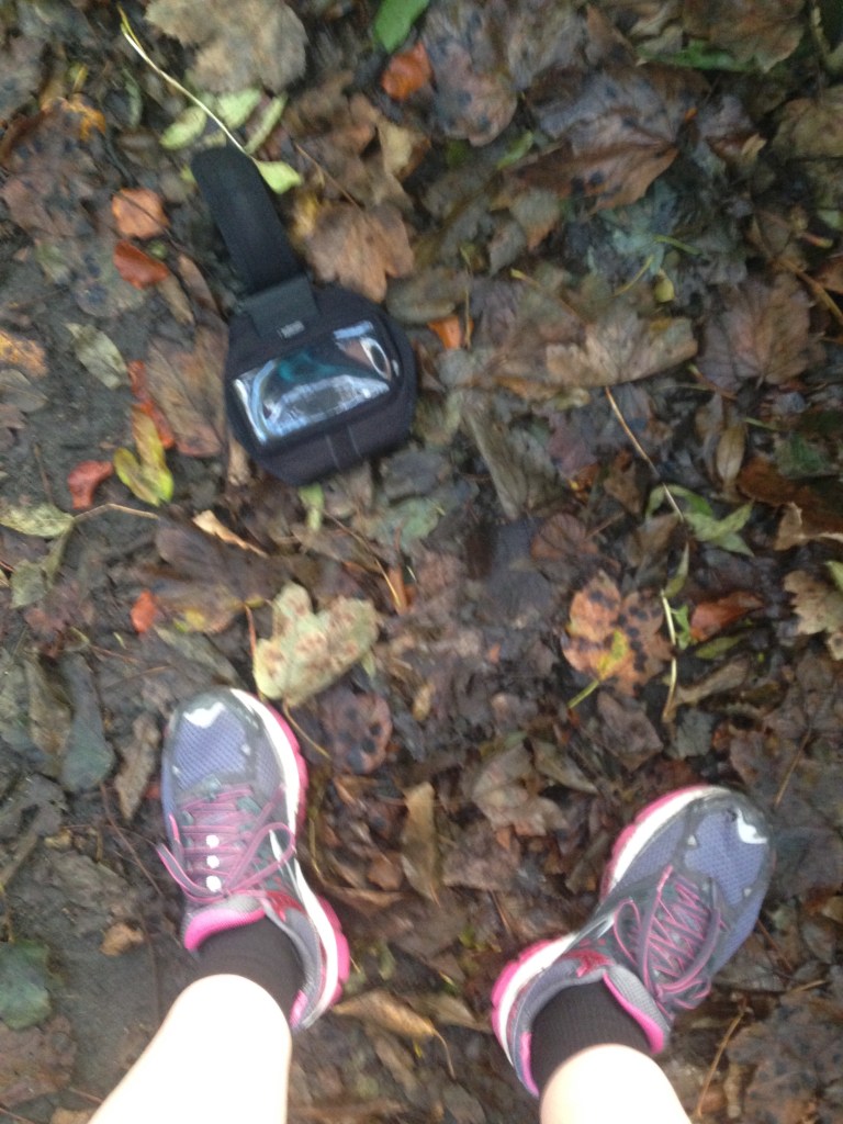 running shoes, autumn leaves