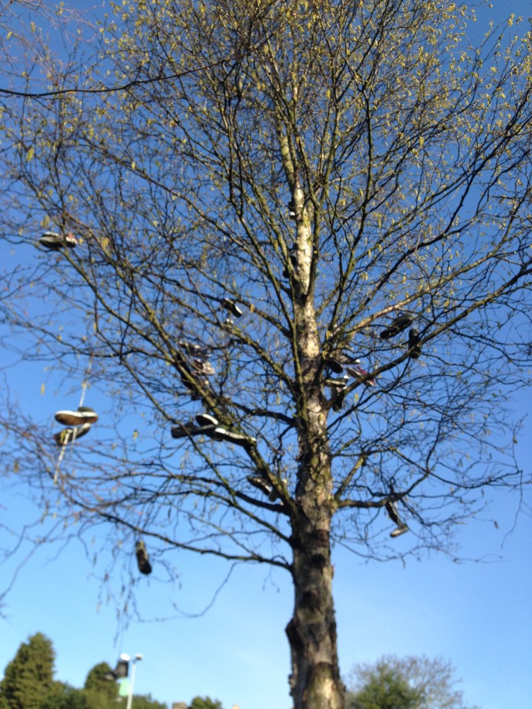 shoe tree