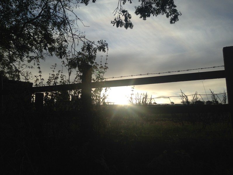 path, sun, silhouette