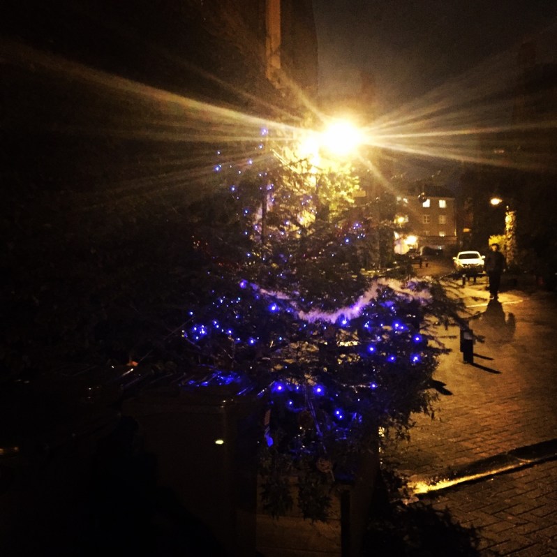 Decemebr blog post - 1 (1)