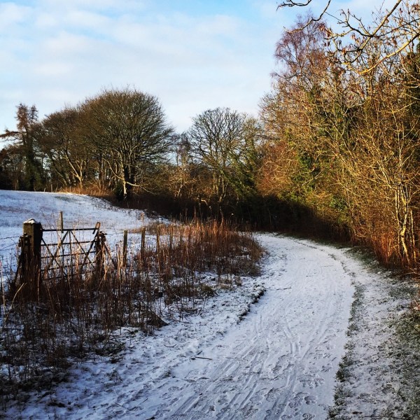snow on path in countryside