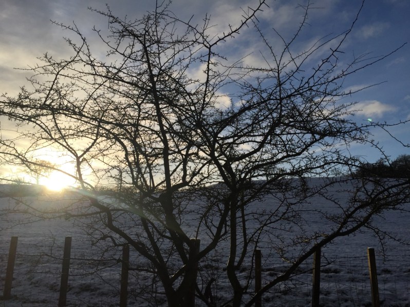 january blog post - 1 (2)