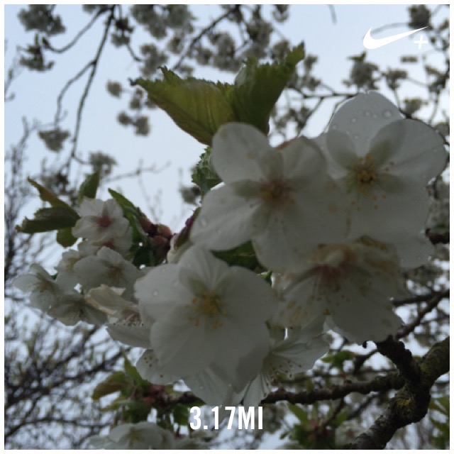 Everydayinmay - 1 (2)