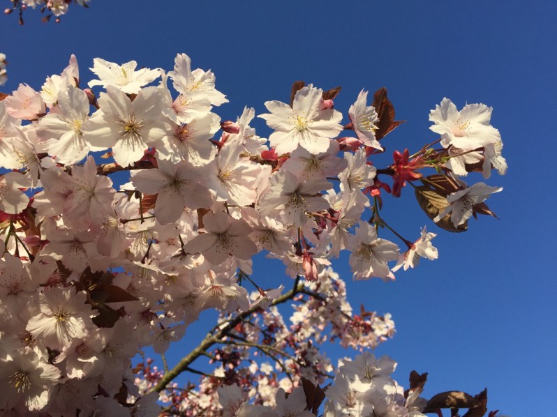 Everydayinmay Monday 9 - 1 (5)