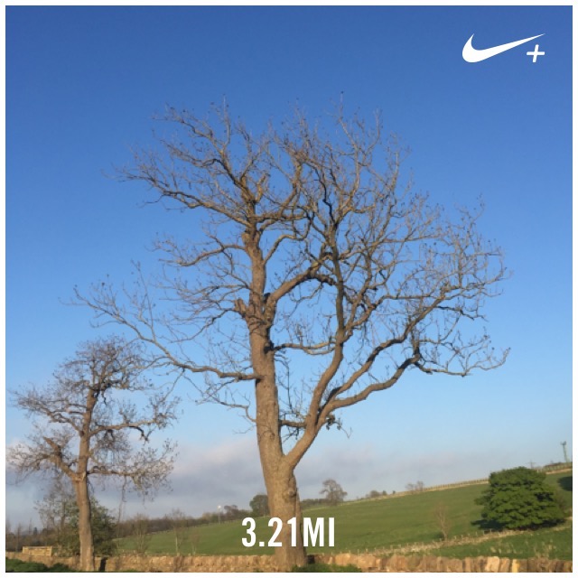 Everydayinmay Monday 9 - 1 (6)