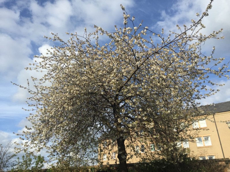 Everydayinmay Thurs - 1