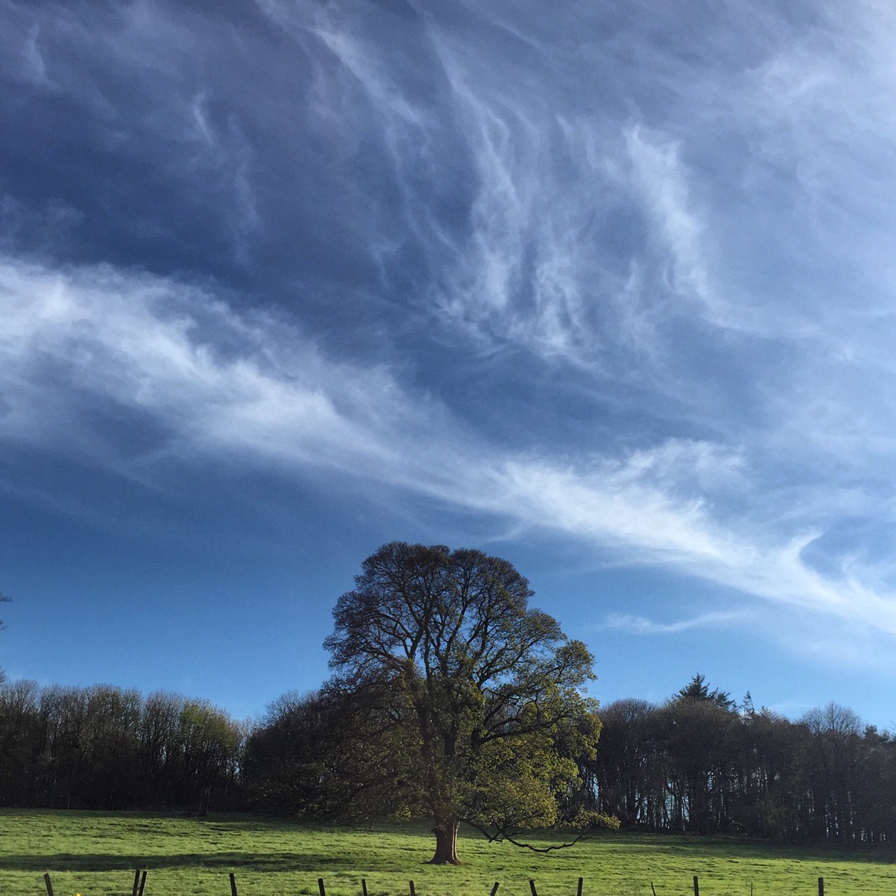 Everydayinmay Thurs - 1