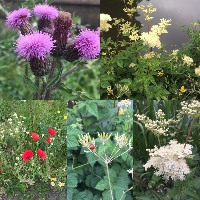 399CAC10-E0FD-4BFC-A051-D1406E5B4110