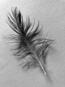 feather